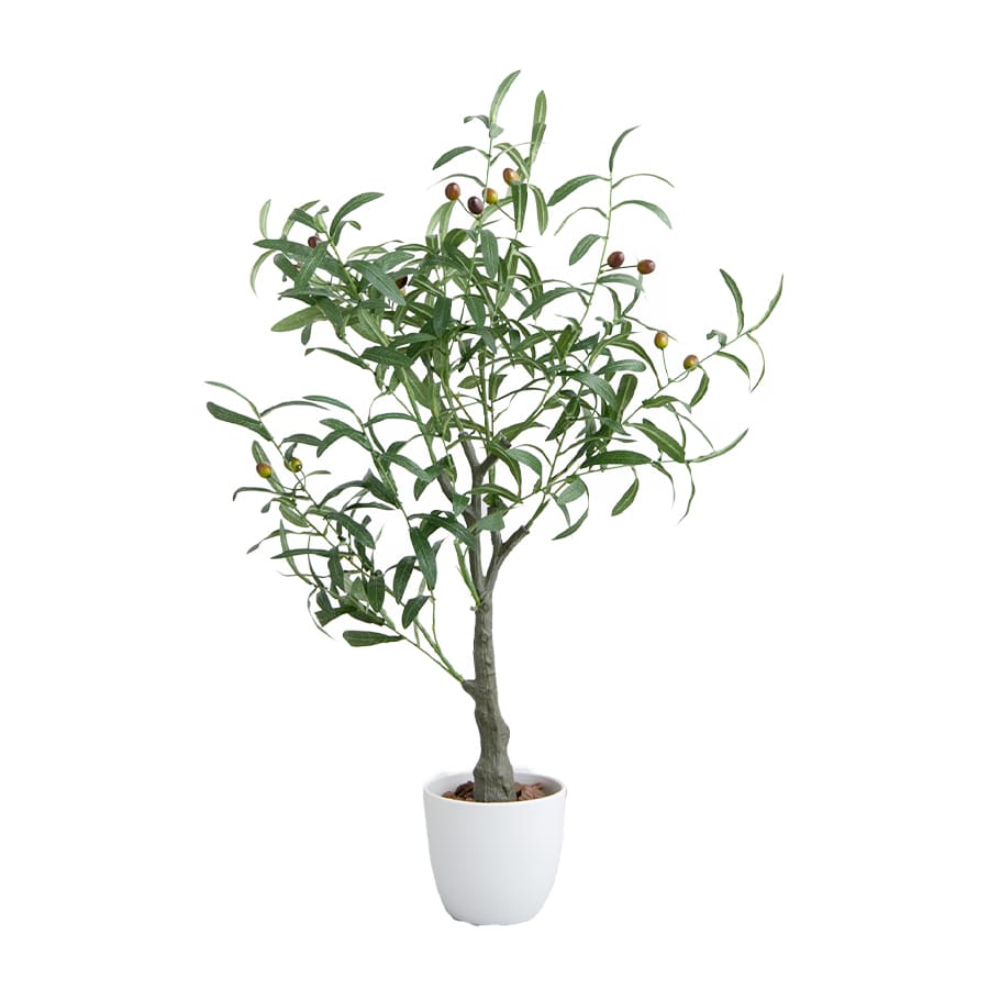 観葉植物 オリーブ フェイクグリーン 人工 室内 リビング オフィス 一人暮らし 緑 インテリア 光触媒 空気清浄 消臭 抗菌 防汚 ホルムアルデヒド分解 |  | 01