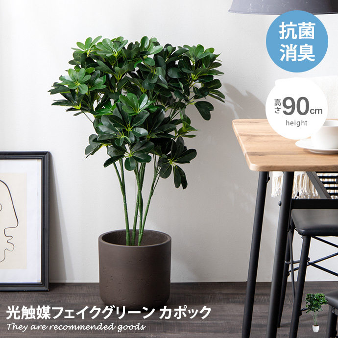観葉植物 カポック シェフレラ フェイクグリーン 人工 室内 リビング