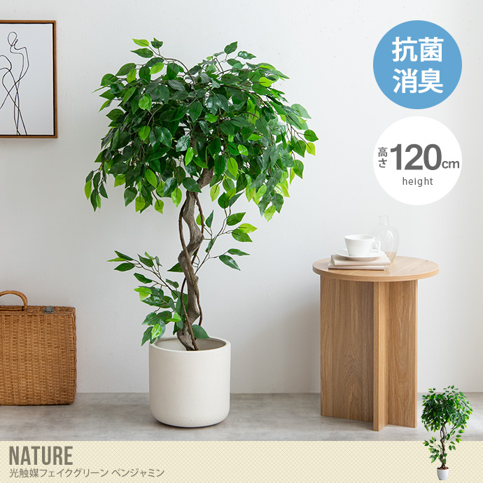 Nature ナチュレ 観葉植物 ベンジャミン フェイクグリーン 人工