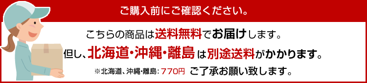 北海道・沖縄・離島は別途送料