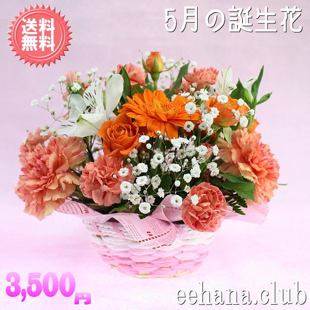 最大56 Offクーポン バラ ピンクアレンジ花言葉付き3 500円 花 写真付き