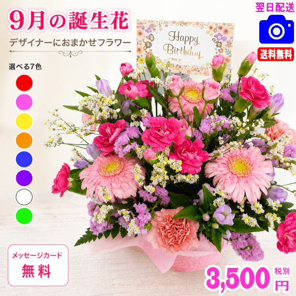 北海道700円/東北.九州.四国.一部離島200円/沖縄不可