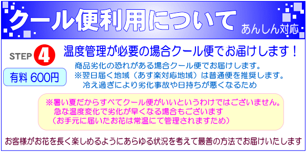 クール便選択できます