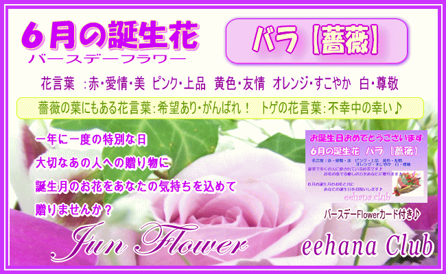 いいhana倶楽部 6月の誕生花特集 バースデーフラワー Yahoo ショッピング