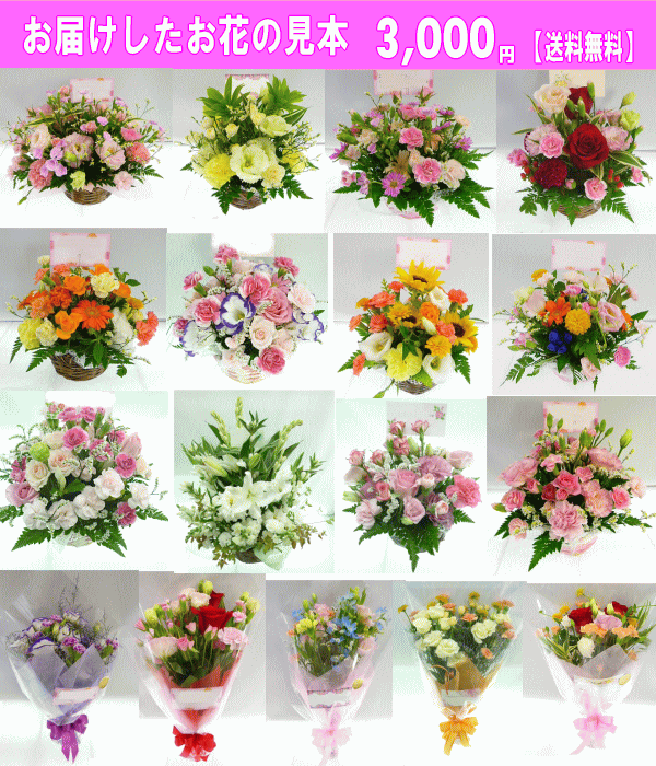 デザイナーにおまかせ 花 ギフト 誕生日 7月の誕生花 3,500円 送料無料