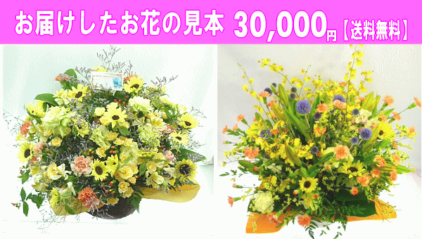 30,000円「送料無料」