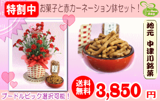 お菓子と赤カーネーション5号鉢のセット！3,500円【送料無料】
