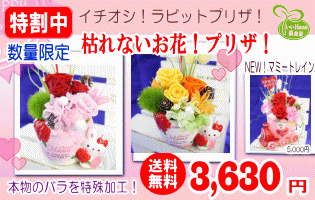 超特価！母の日イチオシ★ラビットプリザシリーズ3,500円【送料無料】