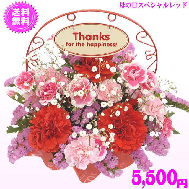 豪華 ★母の日スペシャルアレンジ5,500円【送料無料】