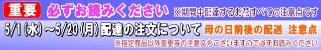 【必ずお読みください】5/1-5/20配送の注意点