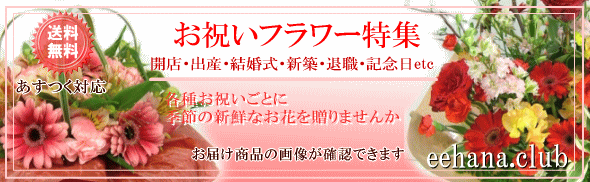 お祝い専用フラワー特集「開店・退職・結婚祝い・新築・出産」