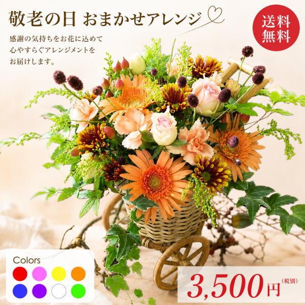 北海道700円/東北.九州.四国.一部離島200円/沖縄不可