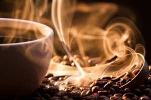 エクーア シベットコーヒー ベンゲット産 豆 250g ラッピング 送料無料