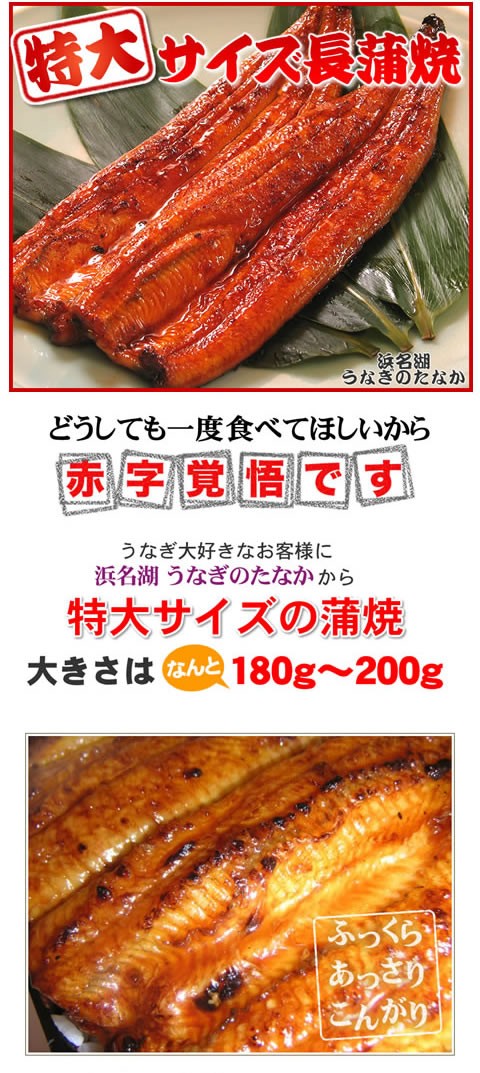 国産うなぎ お取り寄せ お祝い 特大長蒲焼き ギフト 敬老の日 22 プレゼント 70代 80代 誕生日 プレゼント 簡易箱 Toudainagakaba Tokudainagakaba 浜名湖 うなぎのたなか 通販 Yahoo ショッピング