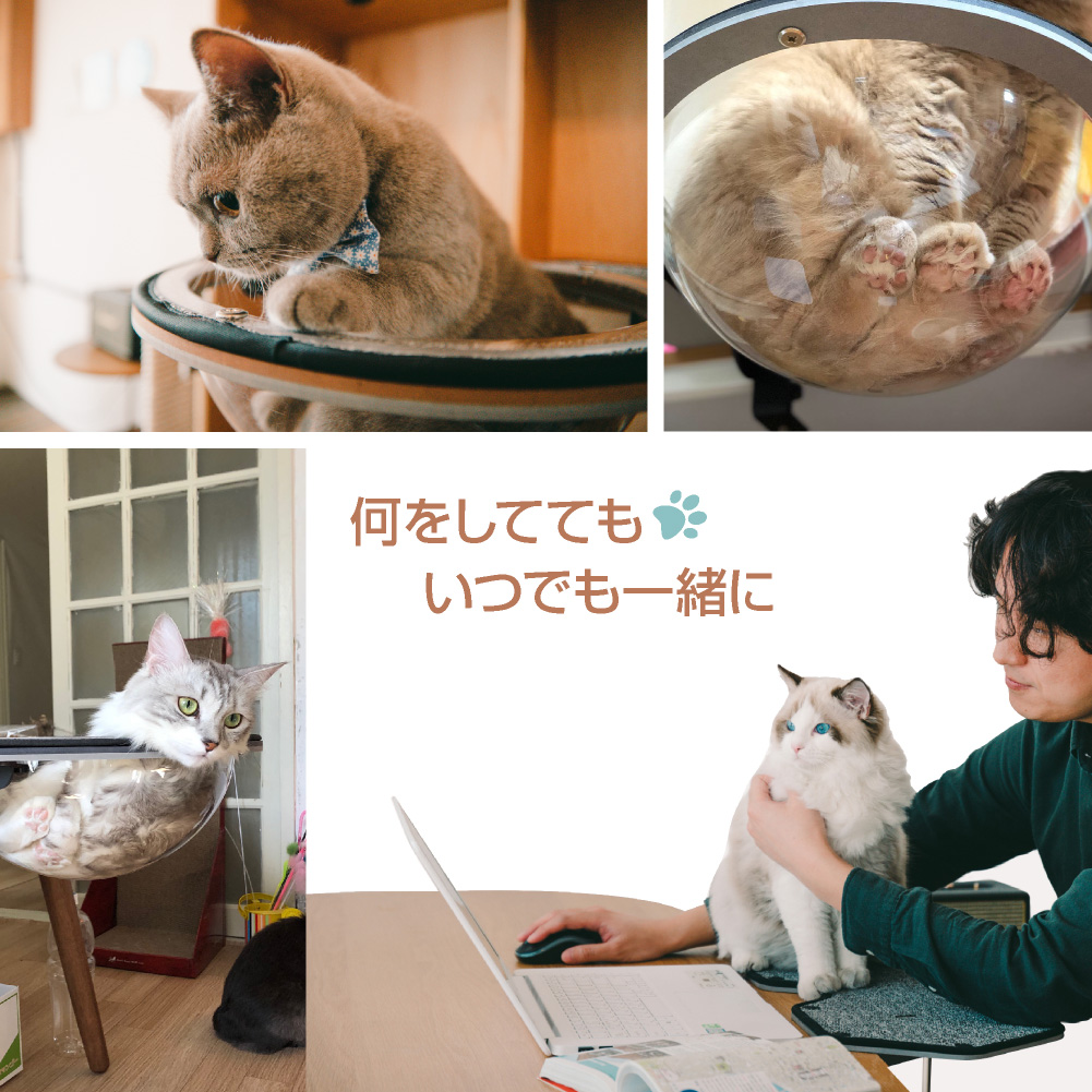 猫 ハンモック 透明 ベット 半球 肉球 ドーム catkick キャット