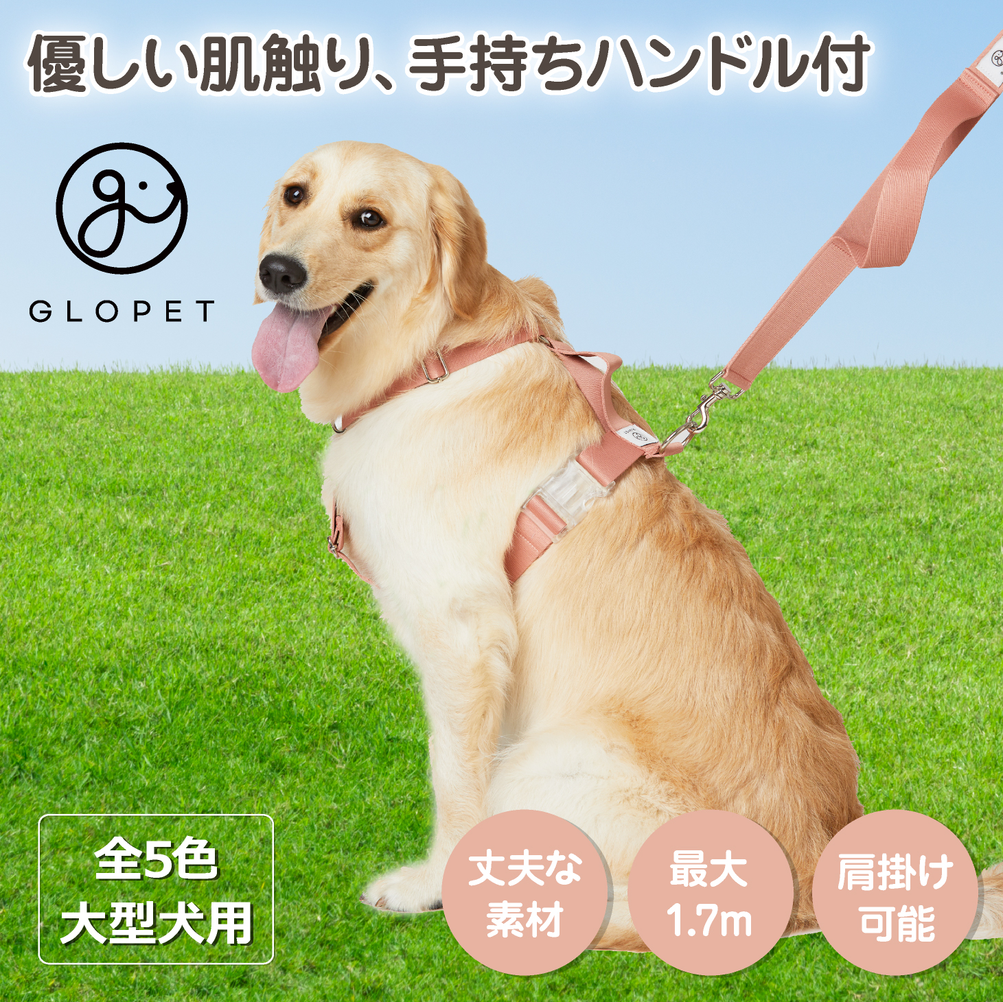 「りのすけページ・大型犬用リード」 GLOPET 大型犬用マルチリード : EFGショップYahoo!店 - 通販