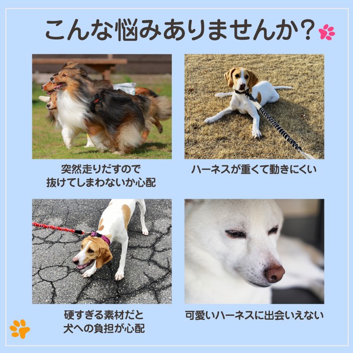 犬 ハーネス 胴輪 おしゃれ 小型犬 抜けにくい 負担が少ない 簡単装着