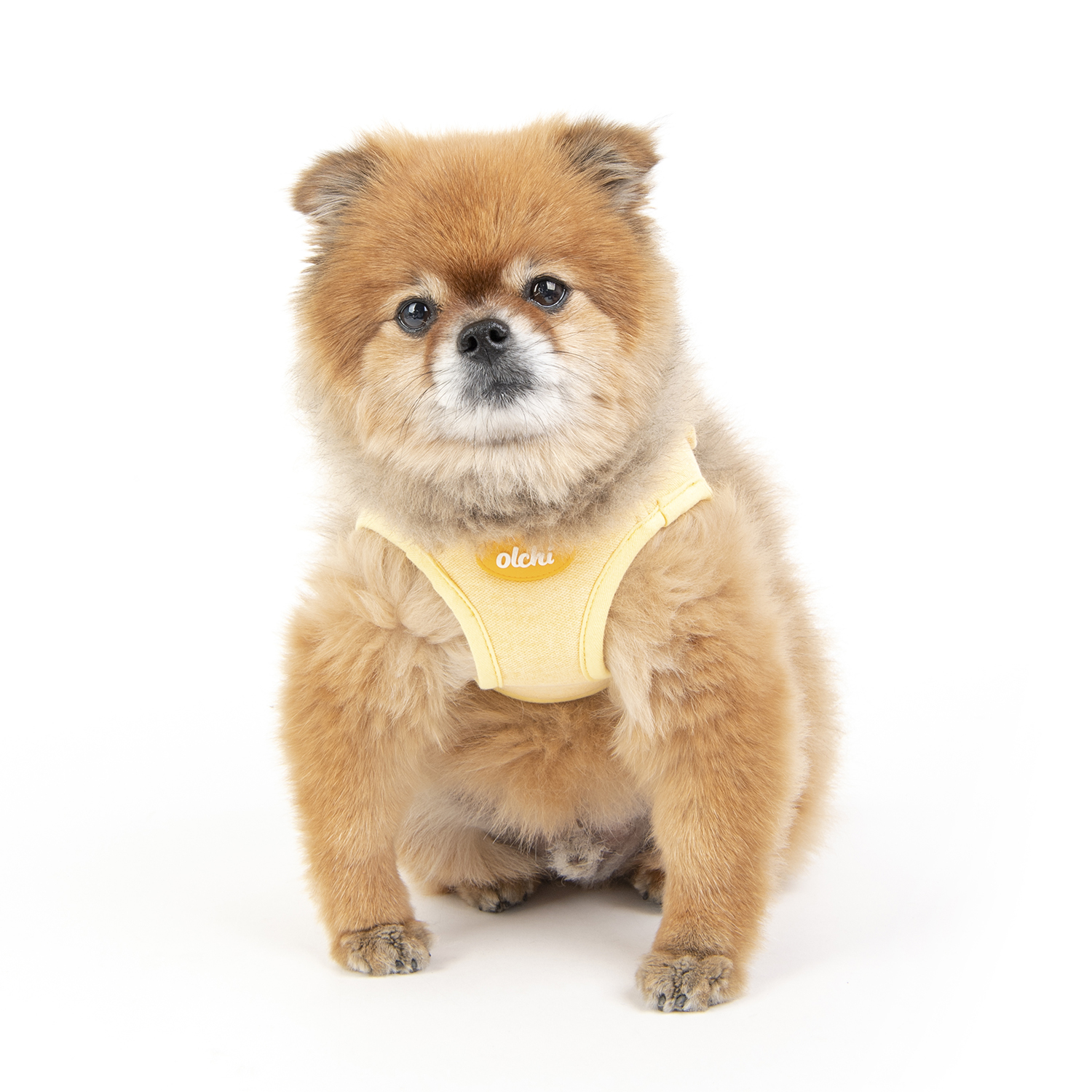 ハーネス 犬 小型犬 中型犬 大型犬 犬用 抜けない 抜けにくい 脱げない 脱げにくい 負担が少ない 犬具 胴輪 散歩 お出かけ 簡単装着 簡単着脱 おしゃれ |  | 02