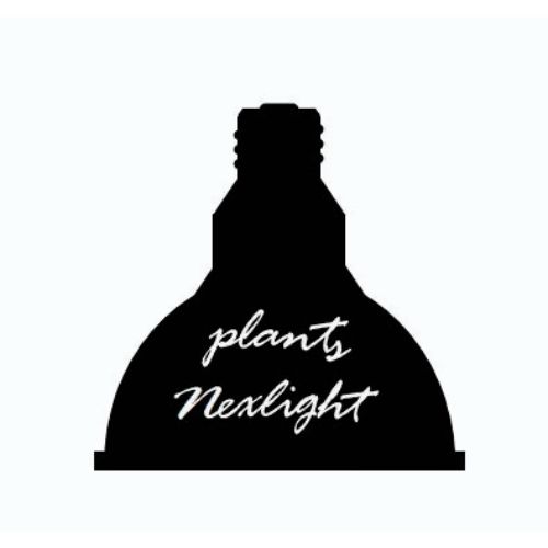 植物専用LEDライト PlantsNEXLIGHT ホワイト 6個入 NL-PAR30-WC95 観葉植物｜efiluz｜08