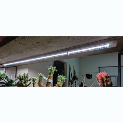 植物専用LEDライト PlantsNEXLIGHT TUBE 白色光 2本入 NL-T8-28-RW12/W 観葉植物