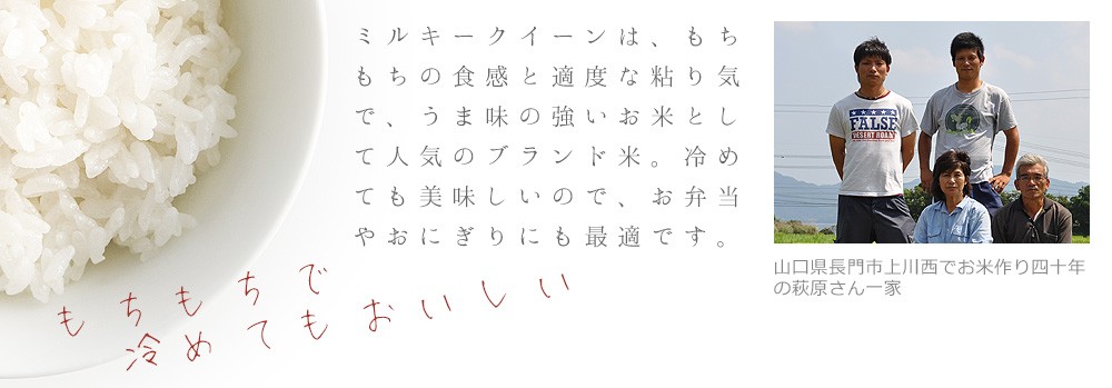 お米,ギフト,送料無料