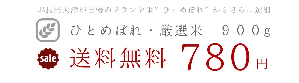 お米,新米,送料無料,お試し