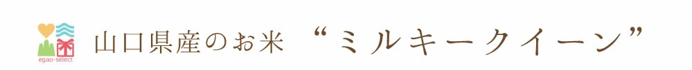 お米,新米,送料無料,お試し