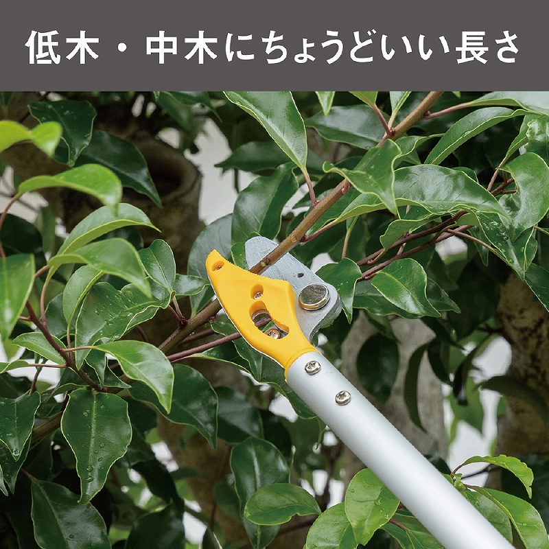 収穫ばさみ 剪定ばさみ 園芸 果実収穫 花 野菜 収穫鋏 園芸用品 ガーデニング 家庭菜園 軽量 400g キャッチ機能 トゲ対策 切断径8mm アルミパイプ 固定タイプ |  | 01