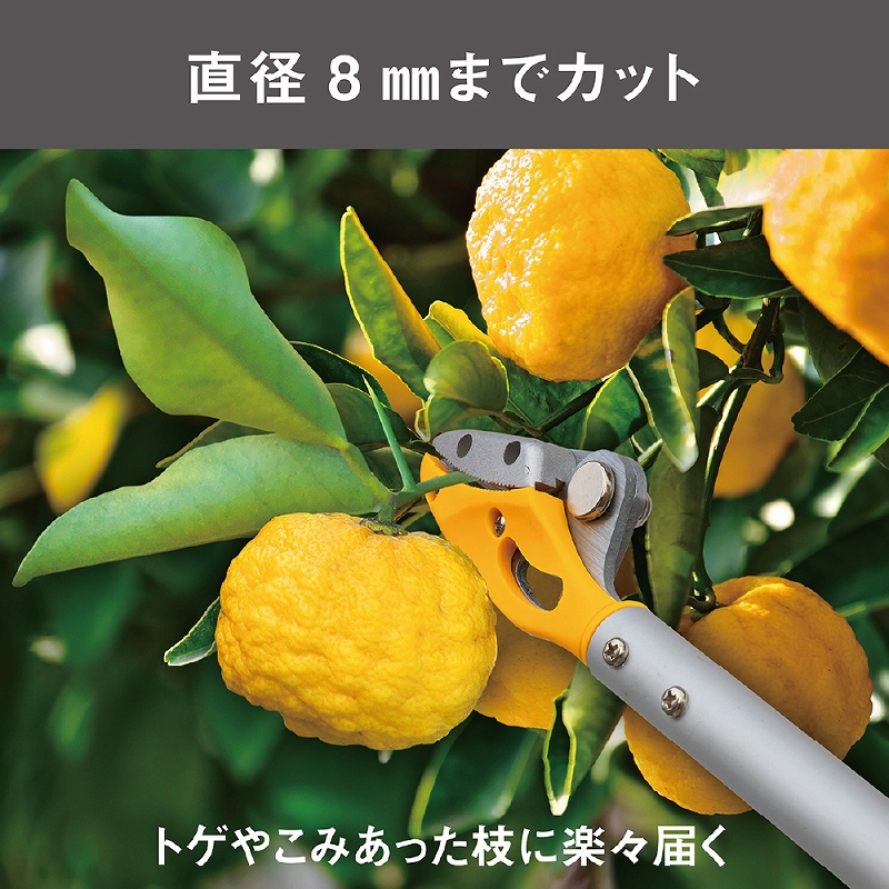 収穫ばさみ 剪定ばさみ 園芸 果実収穫 花 野菜 収穫鋏 園芸用品 ガーデニング 家庭菜園 軽量 400g キャッチ機能 トゲ対策 切断径8mm アルミパイプ 固定タイプ |  | 03