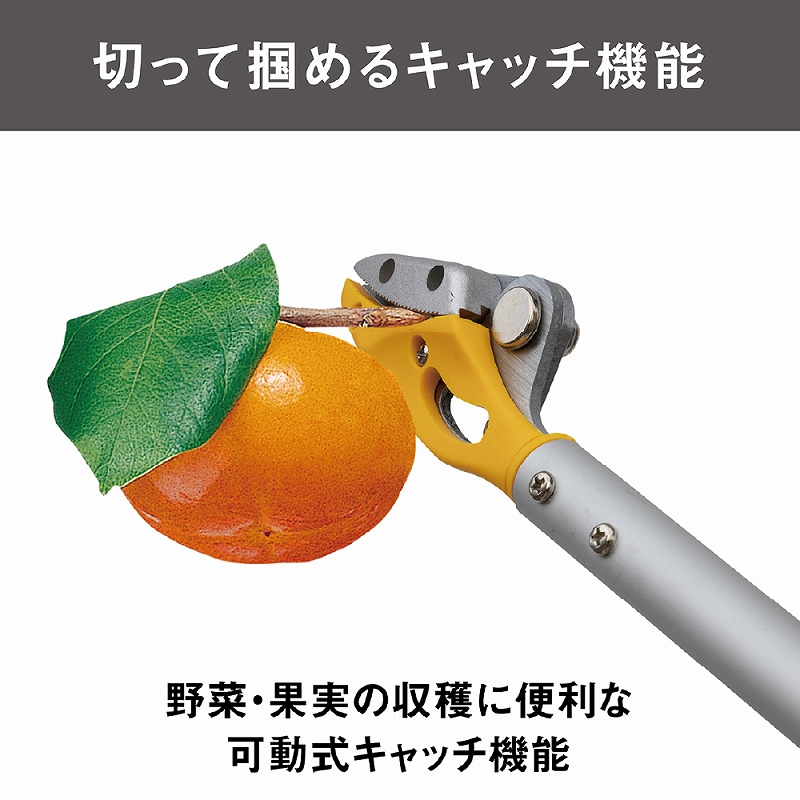 収穫ばさみ 剪定ばさみ 園芸 果実収穫 花 野菜 収穫鋏 園芸用品 ガーデニング 家庭菜園 軽量 400g キャッチ機能 トゲ対策 切断径8mm アルミパイプ 固定タイプ |  | 06
