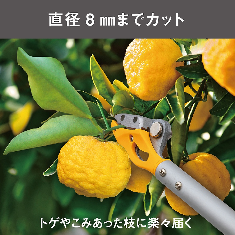 収穫ばさみ 剪定ばさみ 園芸 果実収穫 花 野菜 収穫鋏 園芸用品 ガーデニング 家庭菜園 軽量 330g キャッチ機能 トゲ対策 切断径8mm アルミパイプ 固定タイプ |  | 01