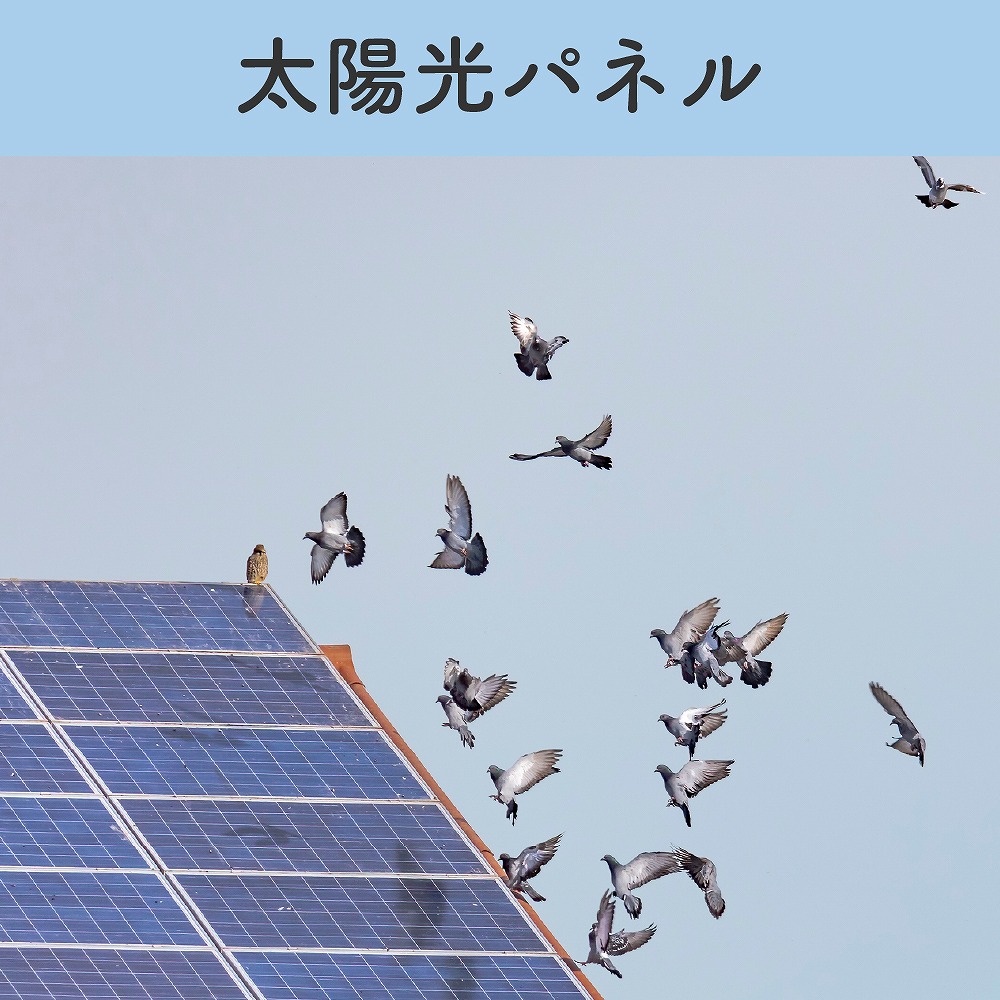 鳥よけ 超音波 周波数 センサー ソーラー 鳥しっし フラッシュ ハト ムクドリ カラス 鳥撃退 鳥被害 フン 忌避 屋根 駐車場 玄関 ベランダ 畑 防水 ガレージ |  | 03