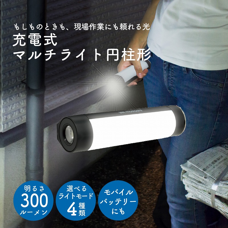 LED 懐中電灯 作業灯 充電式 USB給電 モバイルバッテリー コンパクト 軽量 防雨 マグネット フック付 縦置き 横置き USB type-C Type-A 出力 2WAYライト 屋内