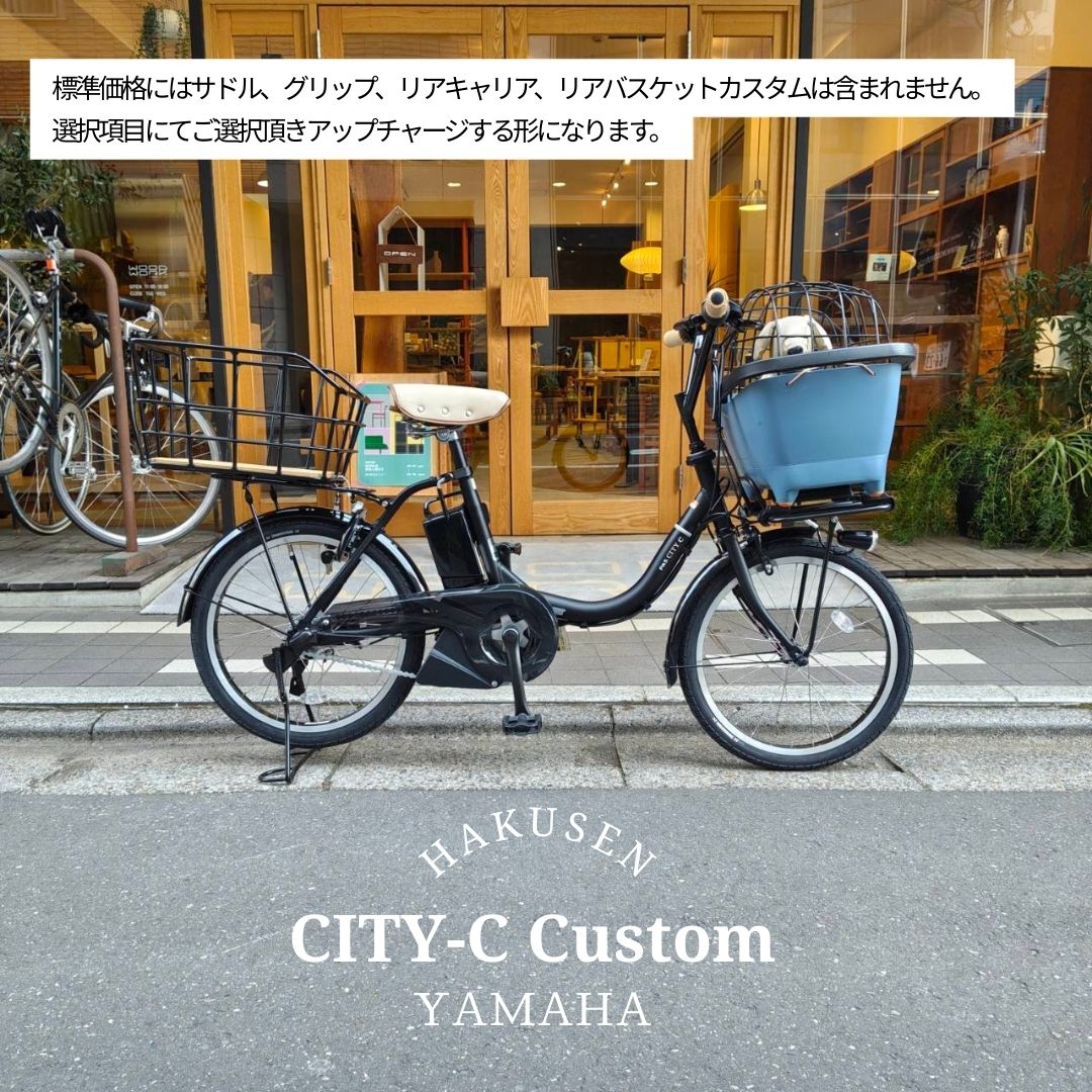 PAS CITY ペット乗せBUDDYバスケット/フルカスタム対応[PAS C