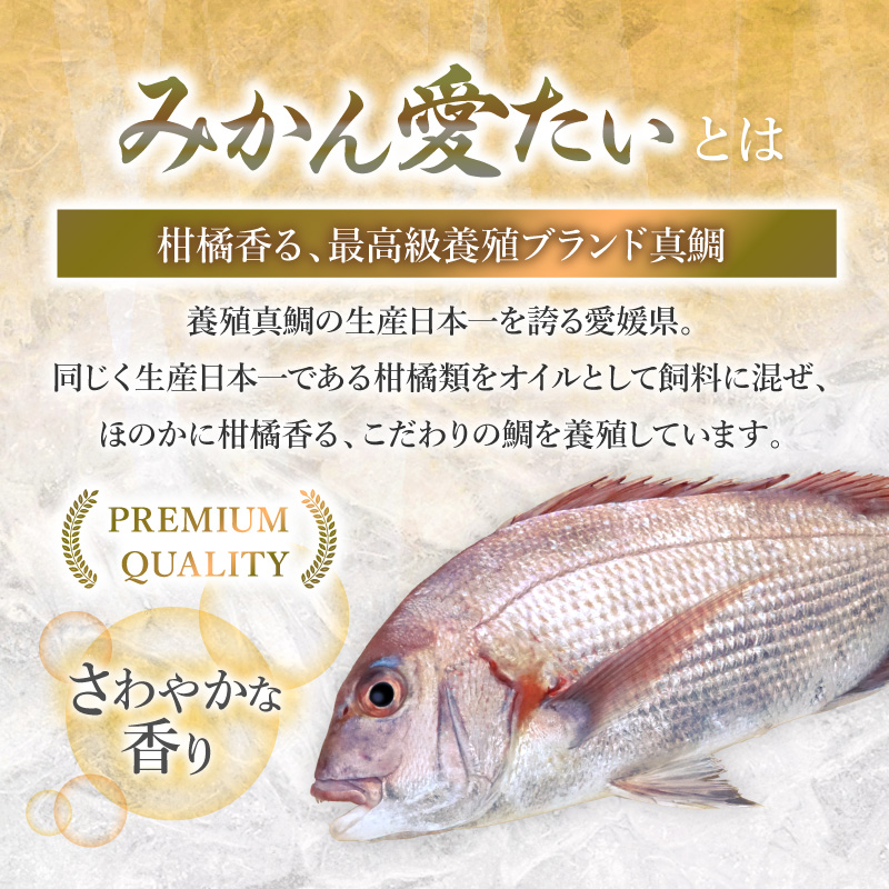 たい 鯛 約560g(4パック計) みかん愛たい 鮮魚 冷蔵 刺身 真鯛 マダイ 海鮮 しゃぶしゃぶ 鯛しゃぶ 鍋 愛媛 スキンレス ロイン ...