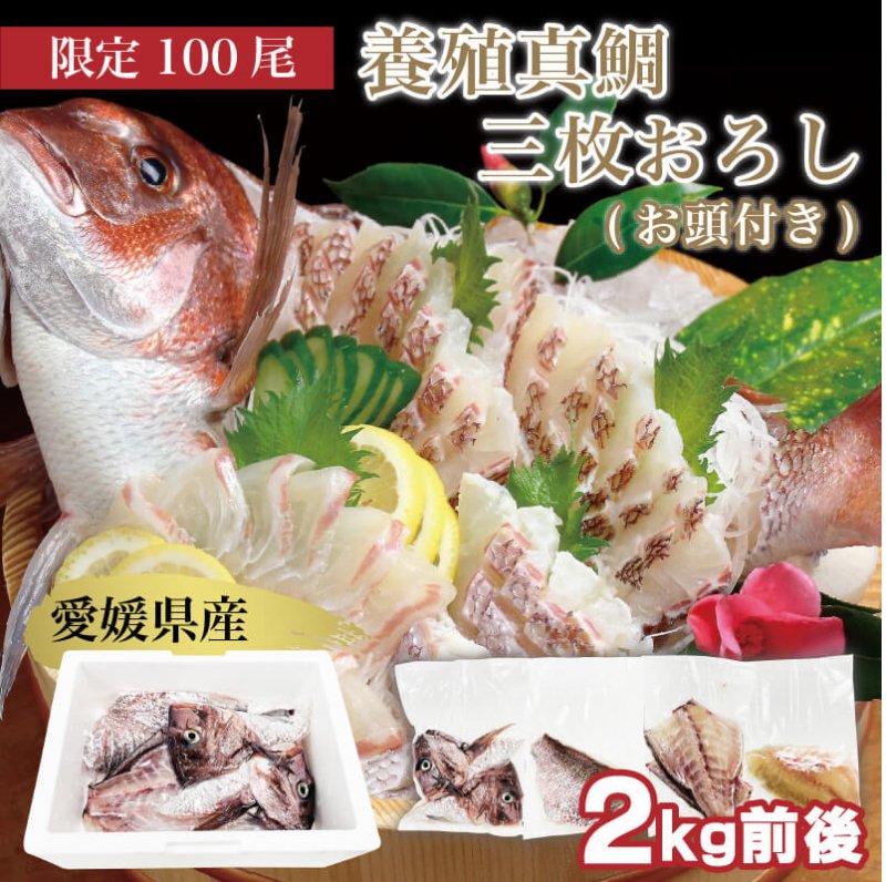鯛 真鯛 切り身 愛媛県産養殖真鯛 (お頭付き)3枚おろし 約2kg 送料