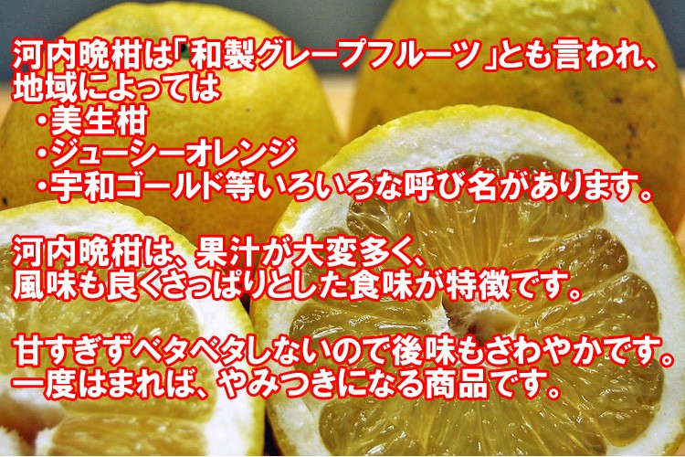 河内晩柑 訳あり家庭用 ７ｋｇ 愛媛産 美生柑 宇和ゴールド ジューシーオレンジ 和製グレープフルーツ 晩柑 送料無料 Kawati W 7 愛媛みかんのまるに 通販 Yahoo ショッピング