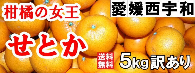 手の中に とろける幸せ】果汁じゅわっ！とあふれる、訳あり