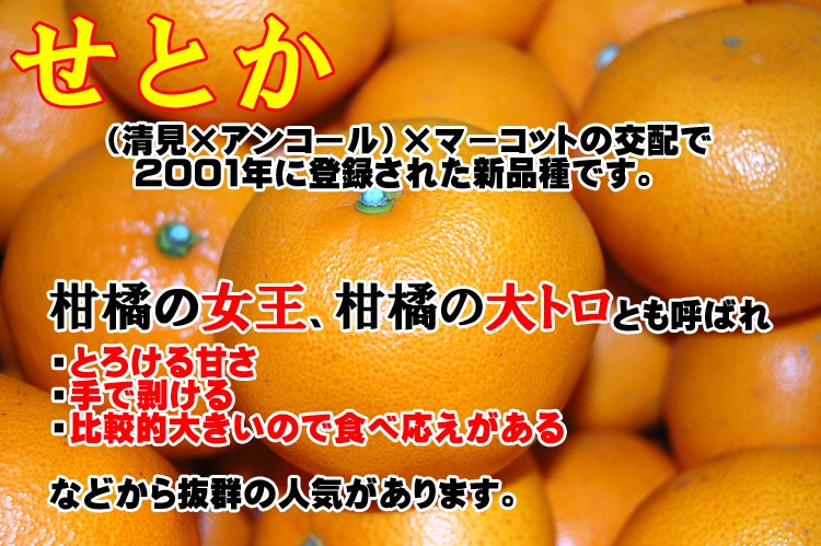 愛媛 西宇和産 せとか 訳あり 家庭用 5kg 送料無料 : setoka-w-5