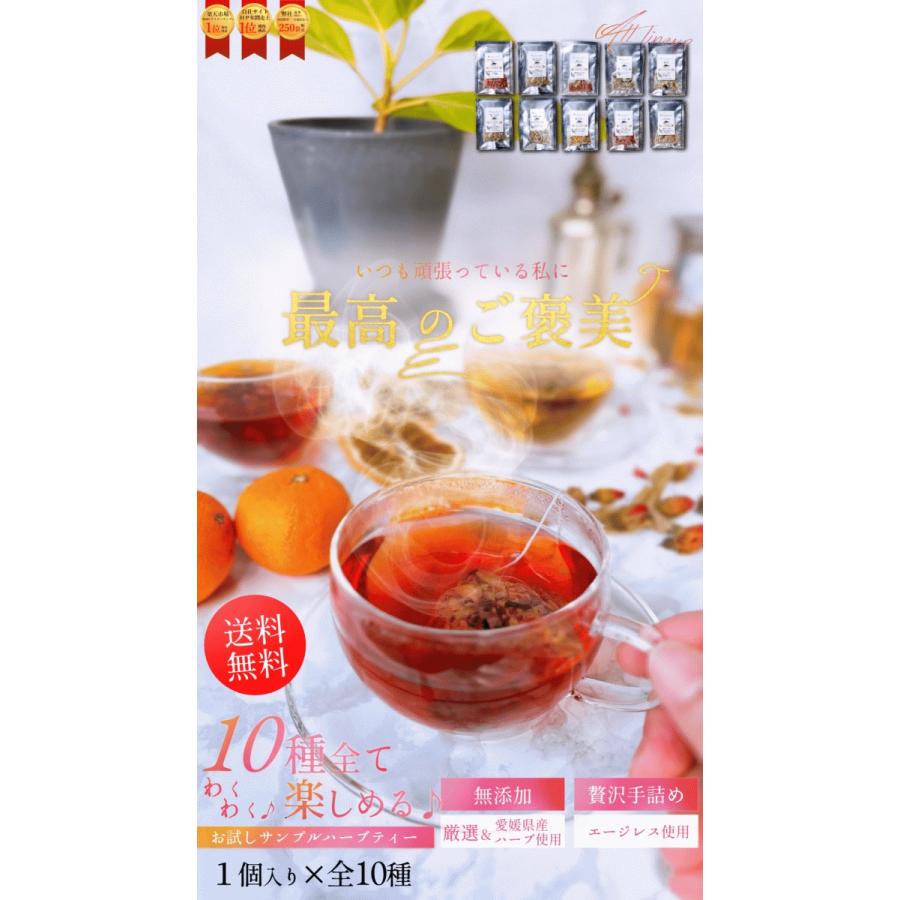 選べる5種】10種類から選べる(2g×1個)×5袋 ハーブティー【お試し