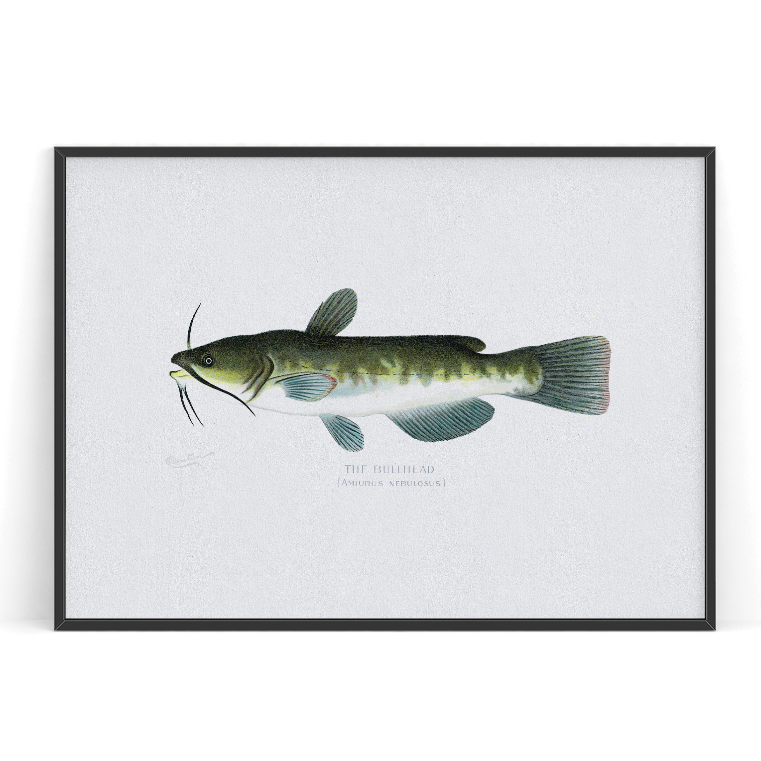 選べるデザイン ゲームフィッシュ フィッシング 魚 トラウト 選べるデザイン ゲームフィッシュ フィッシング 魚 トラウト