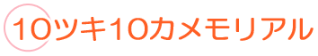エコー写真アルバム