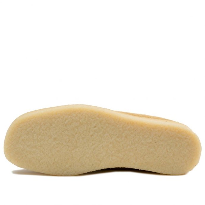 Padmore&Barnes Padmore & Barns / P204 Low - Terra Suede パドモア