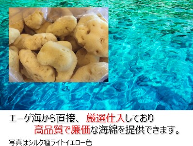 海綿 スポンジ ハニコム種 ライトイエロー色 M 乾燥時12〜14cm