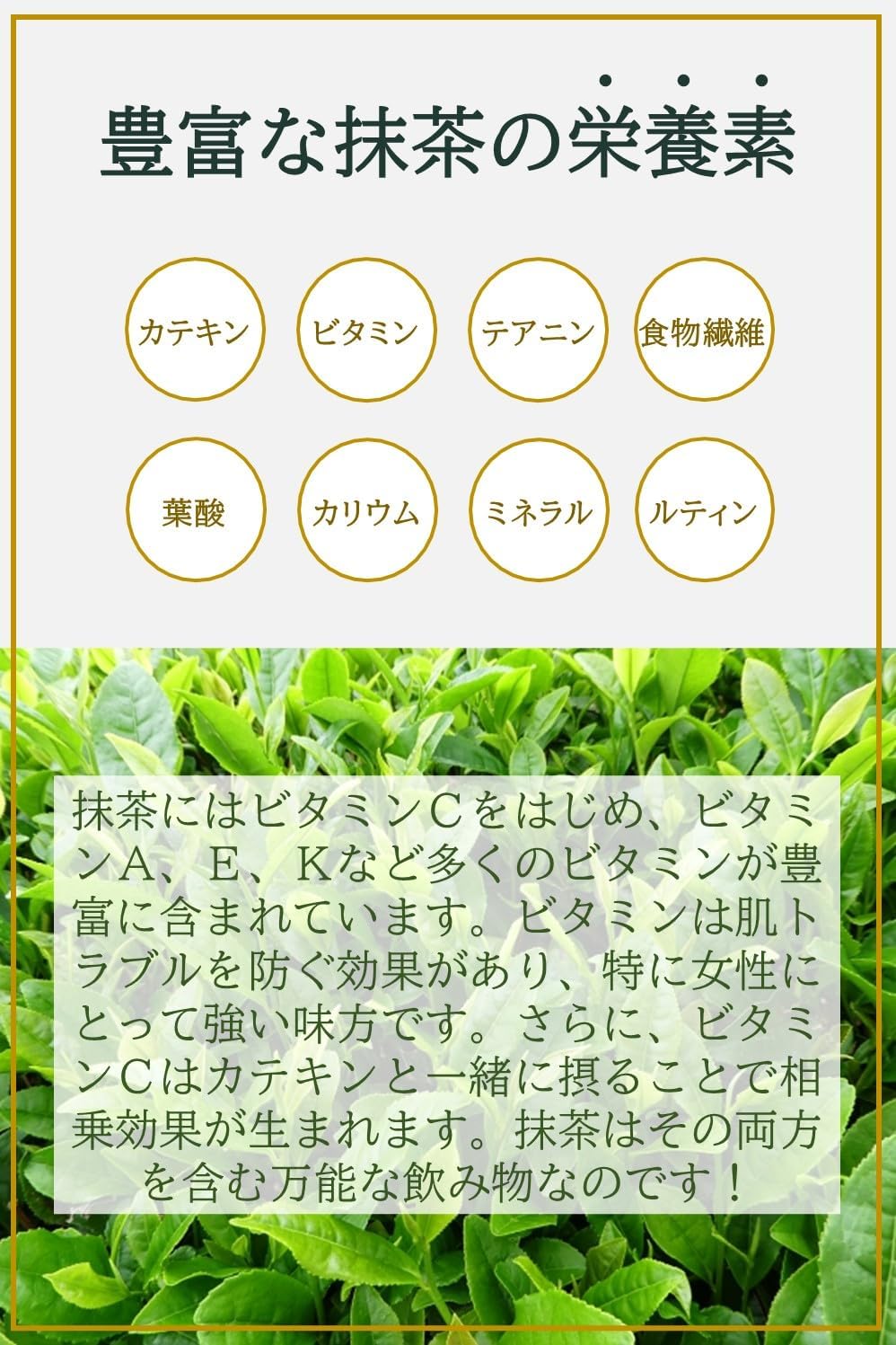 抹茶パウダー100g 国産宇治抹茶100% 無添加 粉末 抹茶ラテ 製菓
