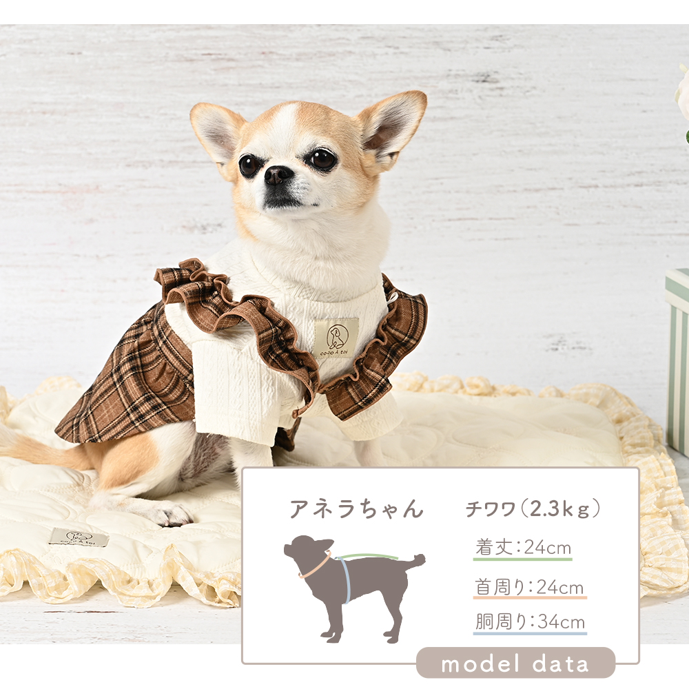 海外犬服 高品質なインポートのドッグウェア通販 