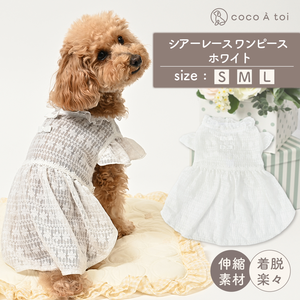 犬服・アクセサリー cocoa eighthundred_cwt003