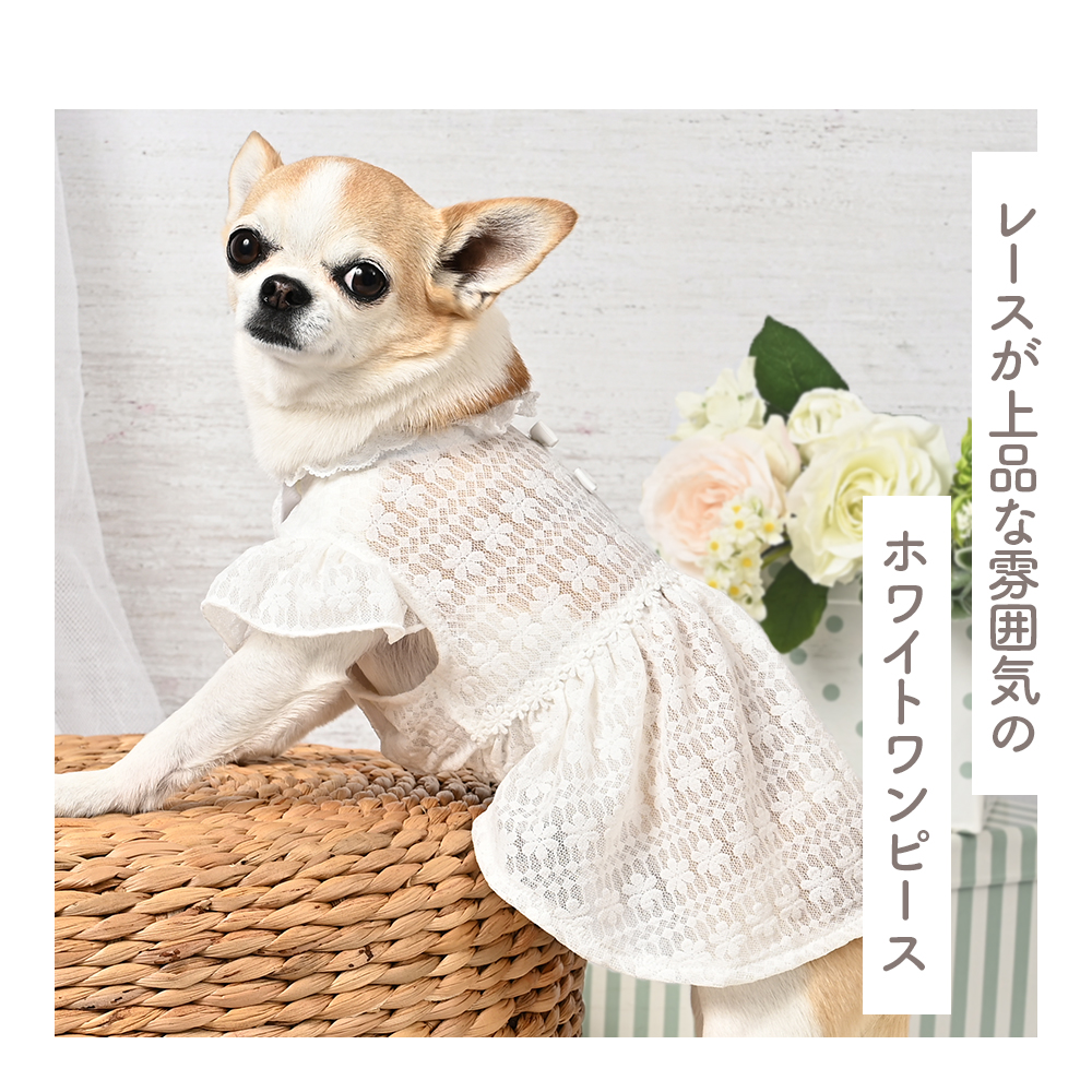 犬雑貨・オーナーズグッズ coco コーギー グッズ プレゼント ギフト DENSCRAFT マスコット