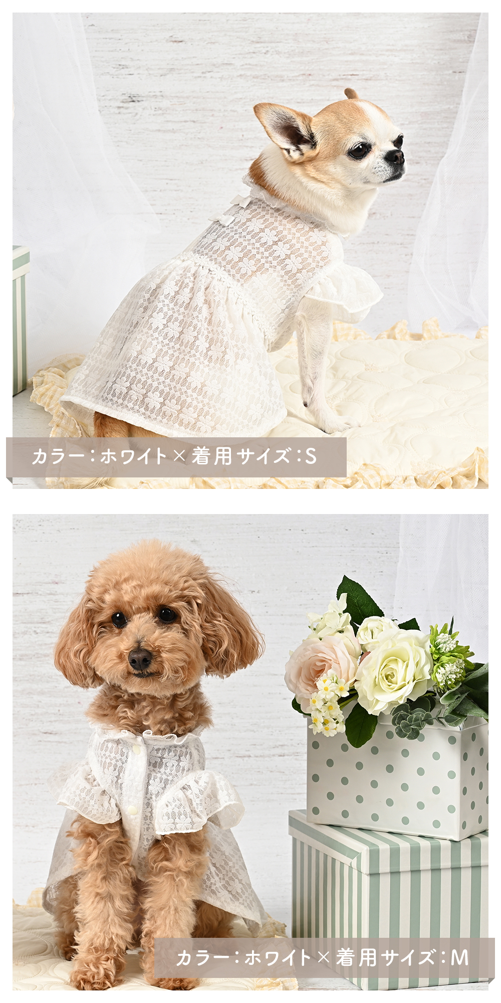 ココアトワ] シアーレース ワンピース cocoAtoi ボタン式 犬 服