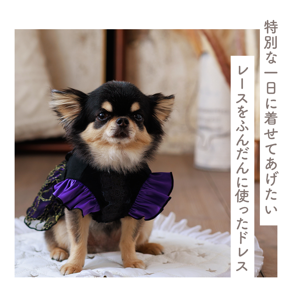 ココアトワ] ブラックレースパーティドレス オレンジ / パープル